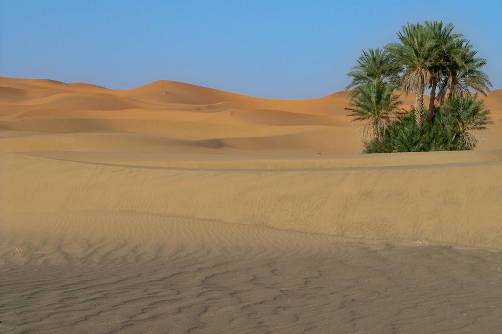 Kasbah Tamariste Bed & Breakfast Merzouga Bagian luar foto